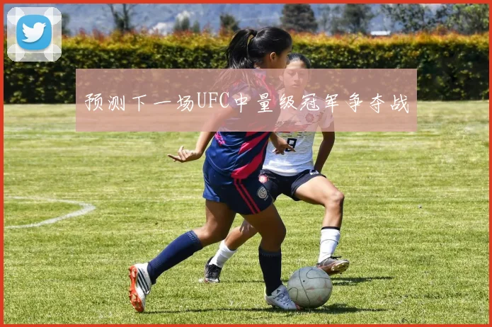 预测下一场UFC中量级冠军争夺战