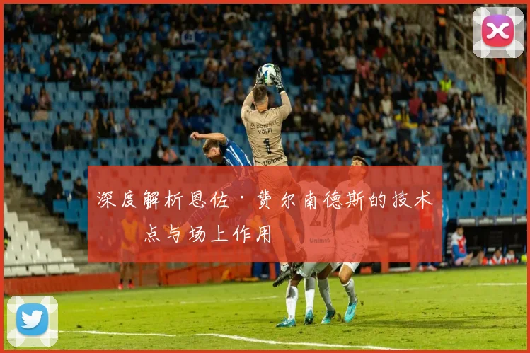 深度解析恩佐·费尔南德斯的技术特点与场上作用