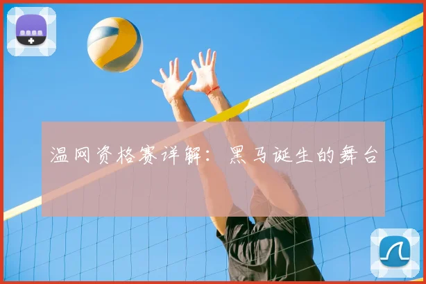 温网资格赛详解：黑马诞生的舞台