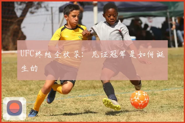 UFC终结全收录：见证冠军是如何诞生的