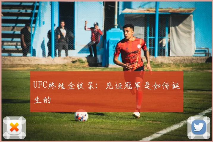 UFC终结全收录：见证冠军是如何诞生的