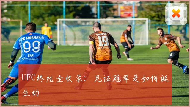 UFC终结全收录:见证冠军是如何诞生的