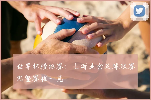 世界杯模拟赛：上海业余足球联赛完整赛程一览