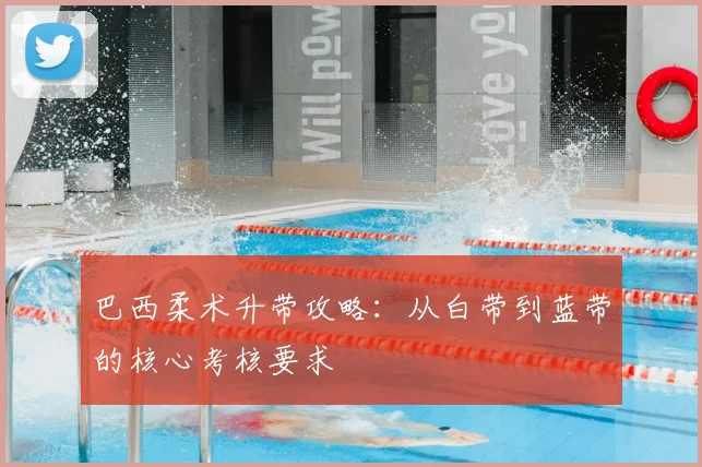 巴西柔术升带攻略：从白带到蓝带的核心考核要求