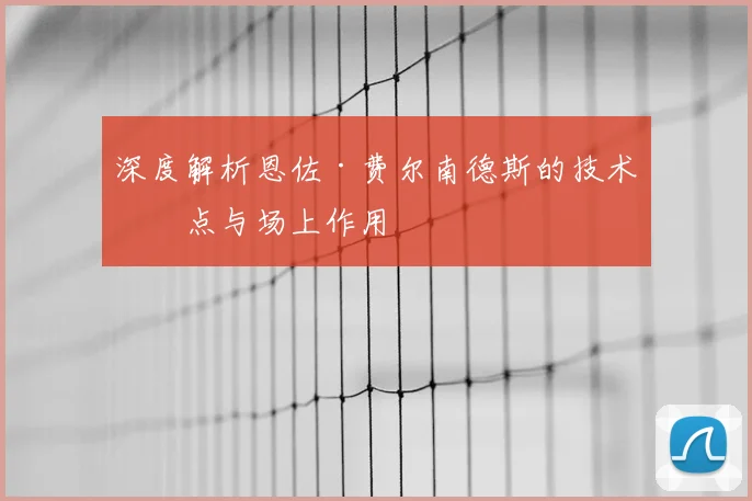 深度解析恩佐·费尔南德斯的技术特点与场上作用