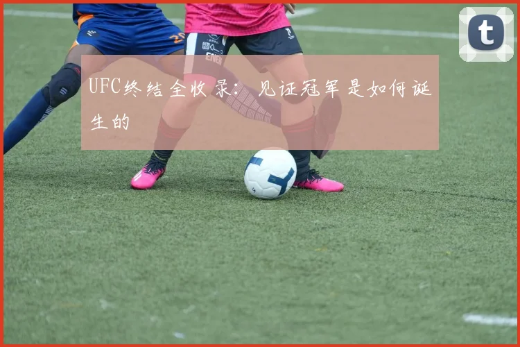 UFC终结全收录：见证冠军是如何诞生的