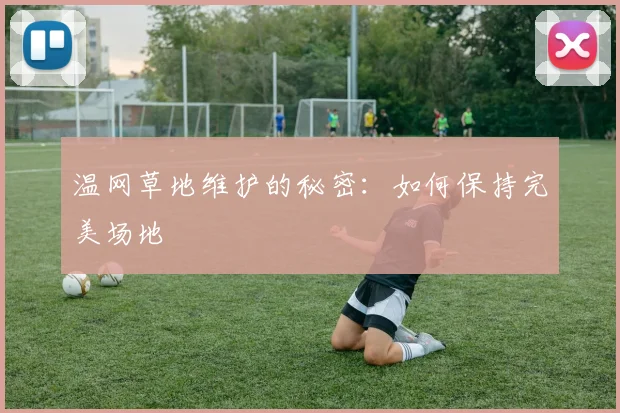温网草地维护的秘密：如何保持完美场地