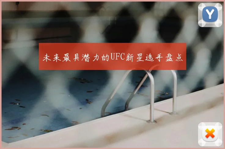 未来最具潜力的UFC新星选手盘点
