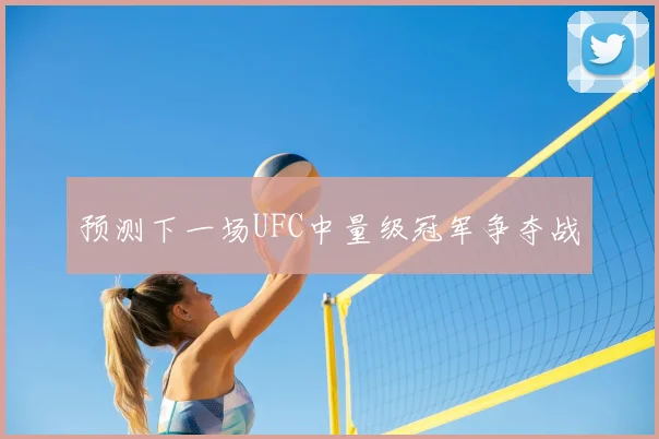 预测下一场UFC中量级冠军争夺战
