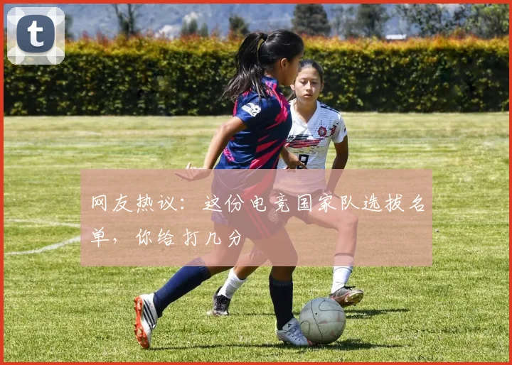 网友热议：这份电竞国家队选拔名单，你给打几分