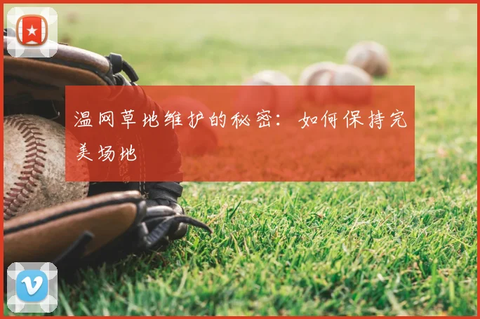 温网草地维护的秘密：如何保持完美场地