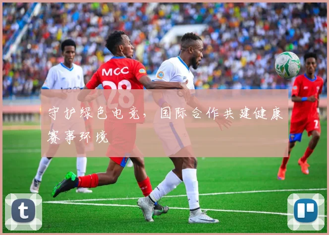 守护绿色电竞，国际合作共建健康赛事环境