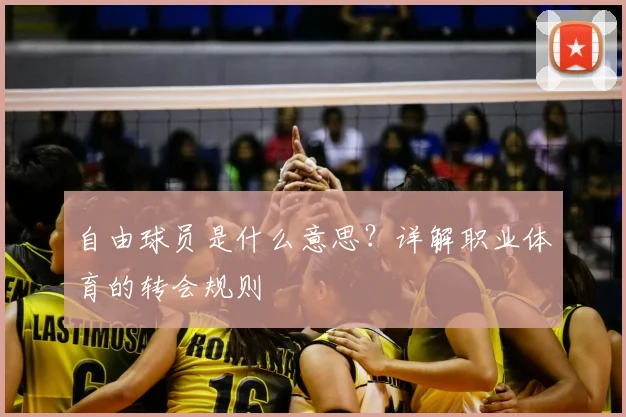 自由球员是什么意思？详解职业体育的转会规则